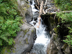 Creek on Heliotrope trail.