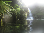 Great swimming spot below a waterfall.