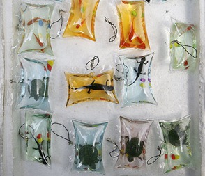 Peixes, tartarugas e salamandras são colocados em embalagens plásticas com água colorida