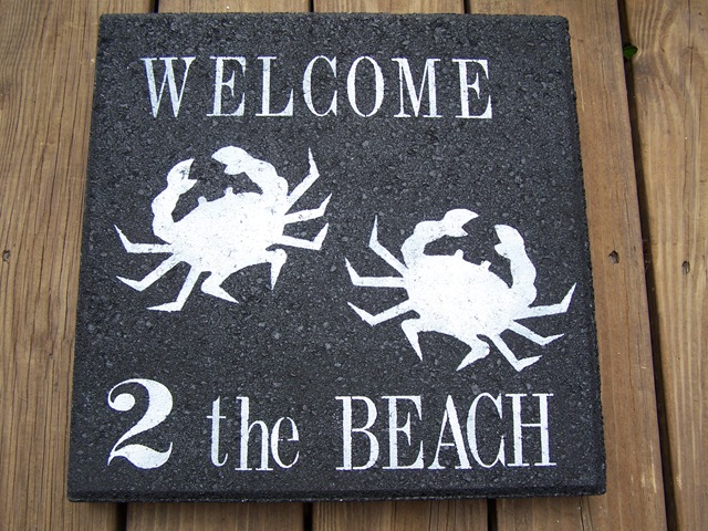 [Crab Stepping Stone 016[4].jpg]