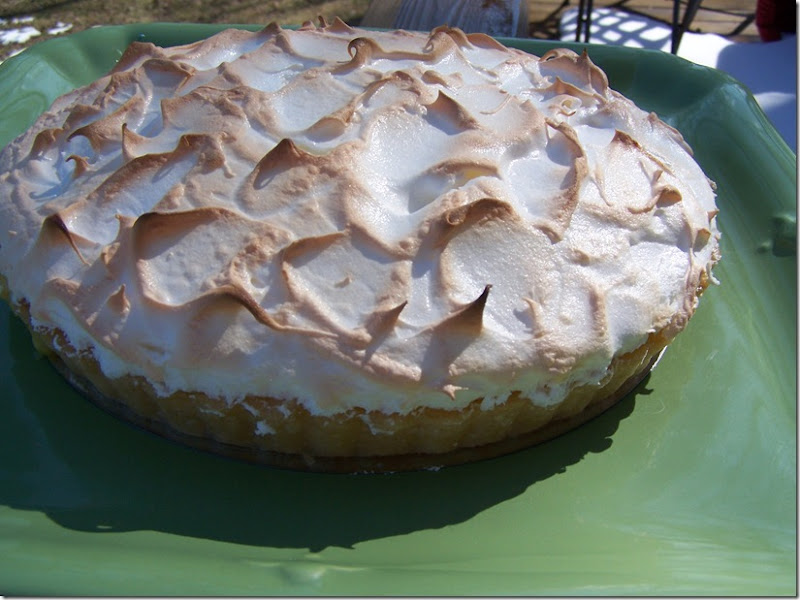 Lemon Meringue Tart 027