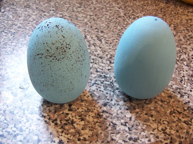 [Easter Egg and Bird Cage 002[5].jpg]