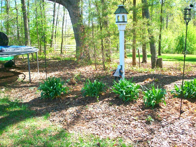 [Spring Garden 038[5].jpg]