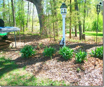 Spring Garden 038
