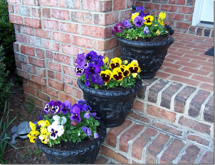 Lemon Poppy Seed Cupcakes and Pansies 012