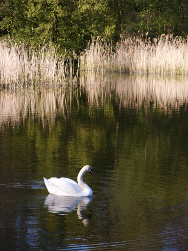 szczecin