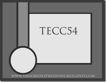 TECC54(sketch) TECC54(sketch)