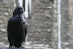 IMG_1965.JPG