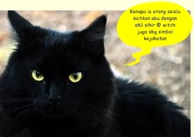 [kucing hitam[7].jpg]