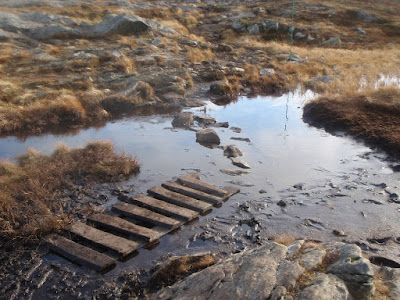 Typical wet trail 
