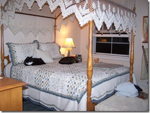 newquilt1 103010