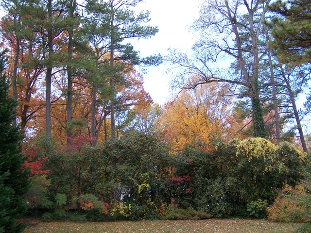 [spilledpaintoffallbackyard2010[4].jpg]