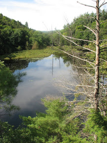 Hiking the Forest Trails Haliburton Highlands