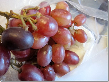 IMG_4160 IMG_4160