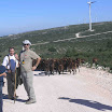 Rota_pastores(05).jpg