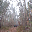 DSC_2263.JPG