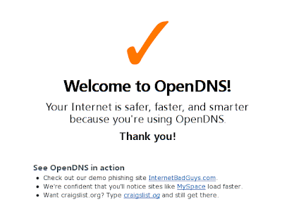 OpenDNS 认证成功
