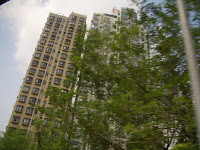 CIMG5140.JPG
