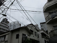 IMG_0916.JPG