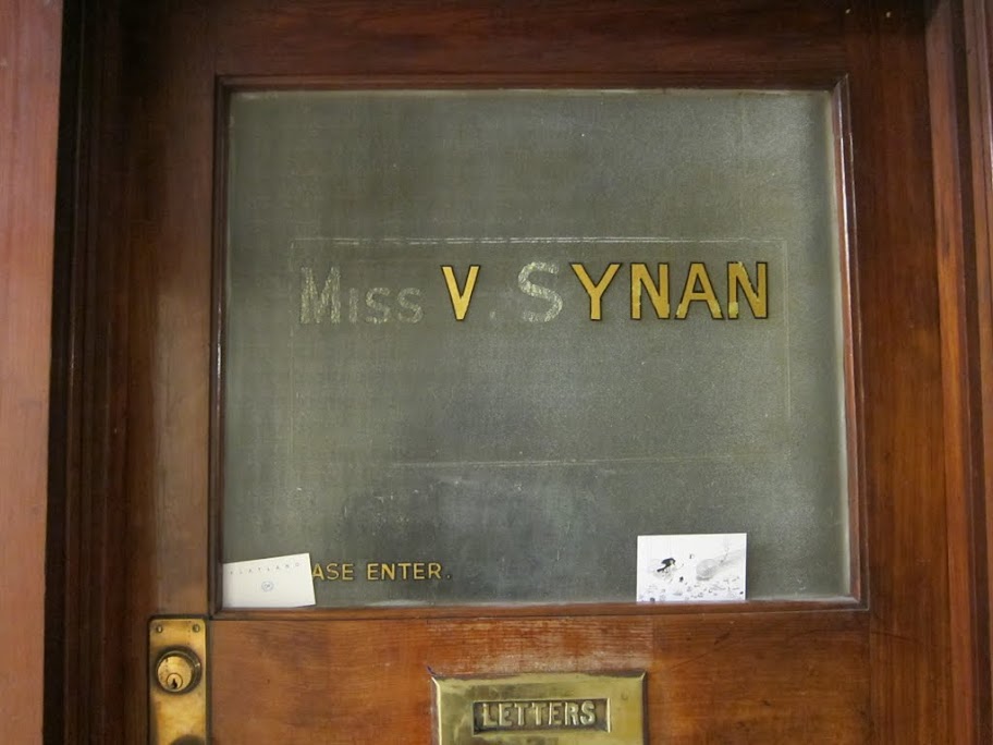 V Synan