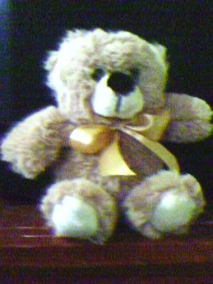 [Boneka Beruang[20].jpg]