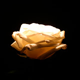 IMG_4328.jpg