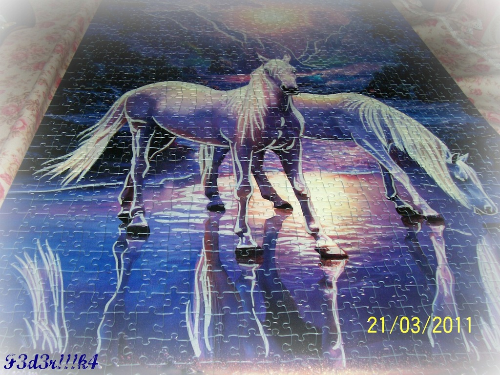 [PuzzleFinito00[4].jpg]