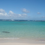 bowers 2009 054.JPG