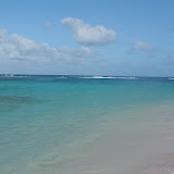 bowers 2009 051.JPG