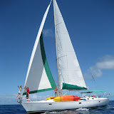 2008 331.JPG