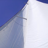Darrell Scott BVI 018.JPG