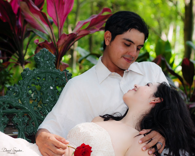 IMAGE: http://lh3.ggpht.com/_TmCQUSGa2D8/TH7sJrJWakI/AAAAAAAAA_o/fFwrgElOMn0/s800/IMG_4971c.jpg