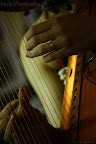 IMG_8275.JPG