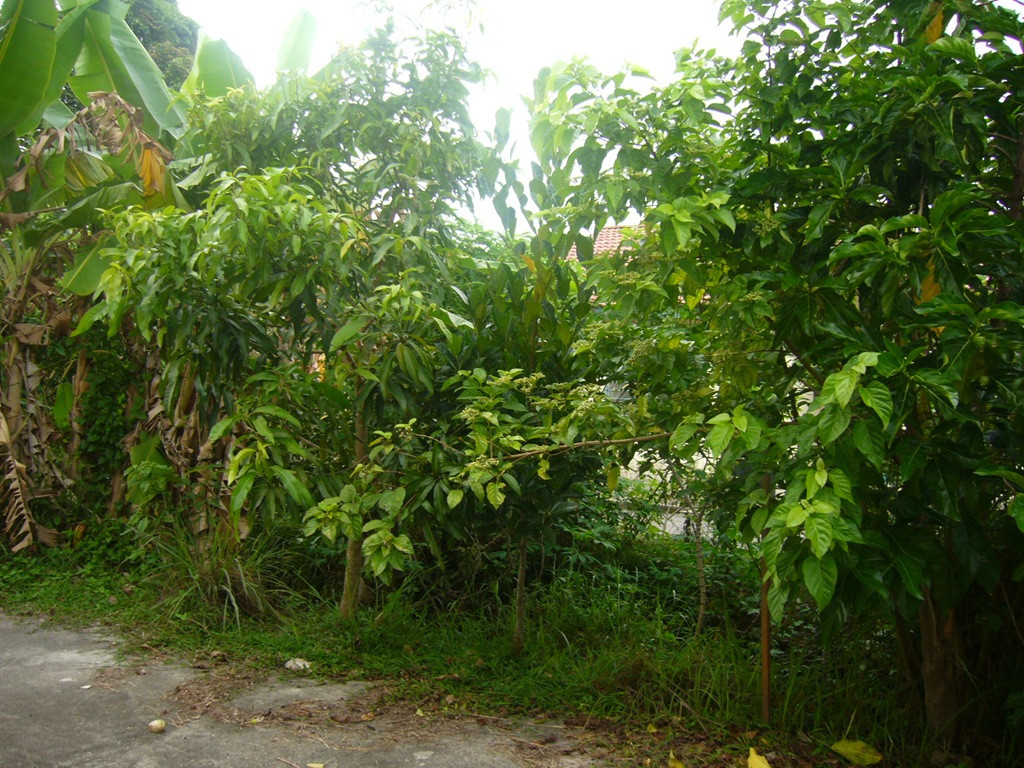 [P1140508[3].jpg]