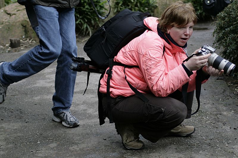 Fotografie
