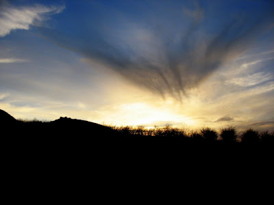 Cloud Bird at Sunset - 365 photo paths