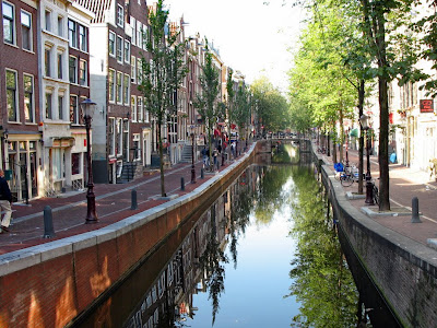 Amsterdam Canal Trees - 365 photo paths