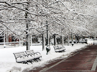 Snowed benches in Boston - 365 photo paths