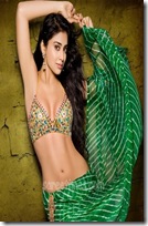 Shriya-Saree-Blouse-Design