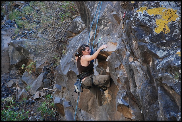 [DSC_3731[5].jpg]