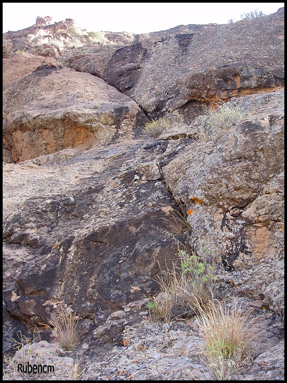 [P6130582[7].jpg]