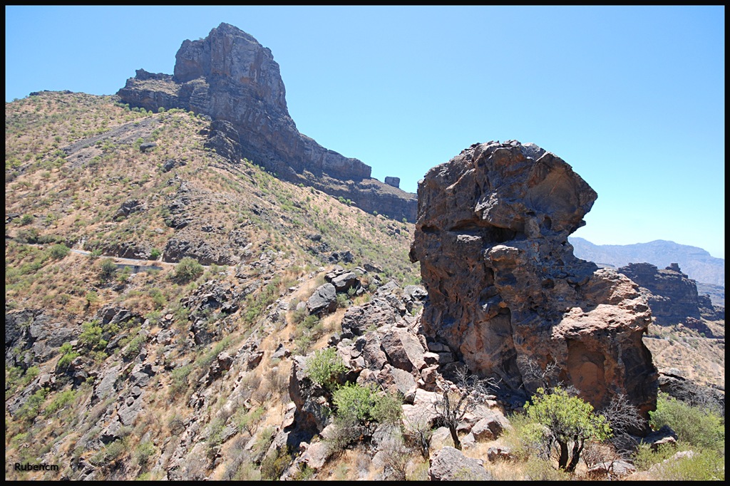[DSC_4150[4].jpg]