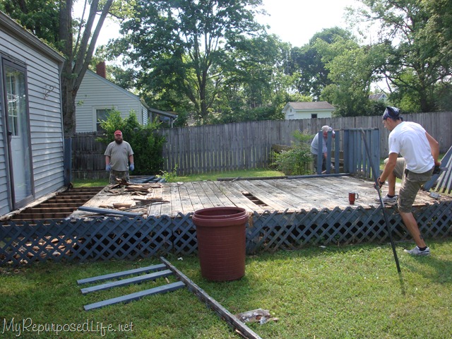 [DSC01718[11].jpg]