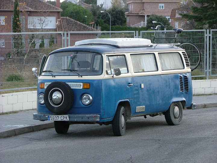 Hippineta
