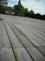 DSCF0111.JPG