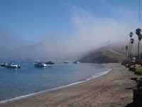 P9254762.JPG (Two Harbors, California, United States) Photo