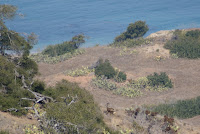 DSC02146.JPG