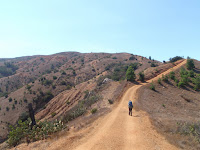 P9274860.JPG