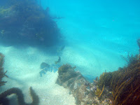 P9264838.JPG
