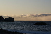 DSC02113.JPG